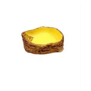 Cuenco de resina para reptiles – 12x9x3 cm