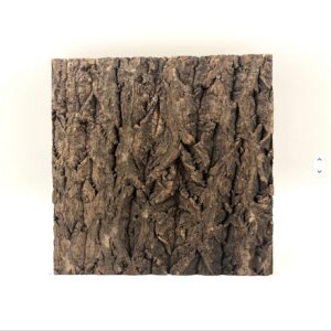 Corteza de alcornoque para terrarios 40×60×1 cm